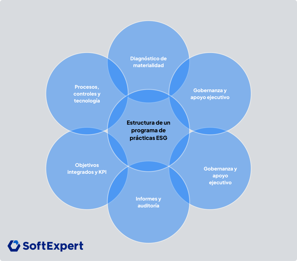 Estructura de un programa de prácticas ESG