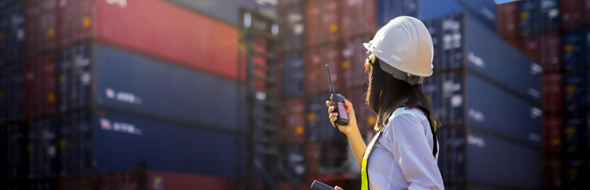 Cadeia de Suprimentos