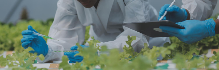 Engenharia de Alimentos